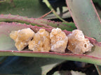 Natural Mini Golden Limonite Quartz Crystal Cluster Plate x 70 From Solwezi, Zambia - Toprock Gemstones and Minerals 