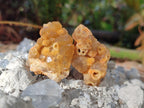 Natural Mini Golden Limonite Quartz Crystal Cluster Plate x 70 From Solwezi, Zambia - Toprock Gemstones and Minerals 