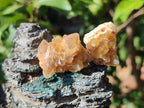 Natural Mini Golden Limonite Quartz Crystal Cluster Plate x 70 From Solwezi, Zambia - Toprock Gemstones and Minerals 