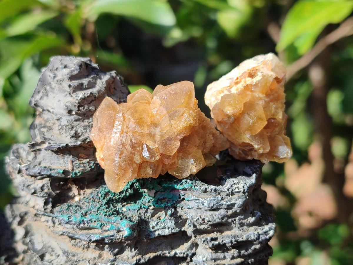 Natural Mini Golden Limonite Quartz Crystal Cluster Plate x 70 From Solwezi, Zambia - Toprock Gemstones and Minerals 