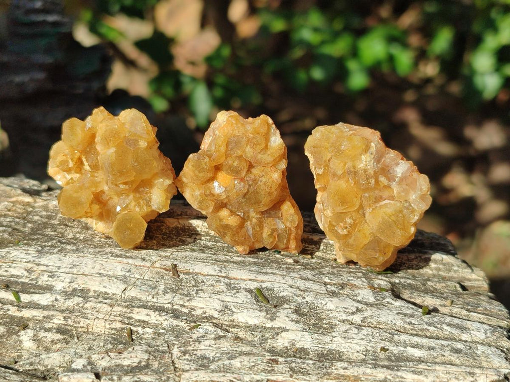 Natural Mini Golden Limonite Quartz Crystal Cluster Plate x 70 From Solwezi, Zambia - Toprock Gemstones and Minerals 