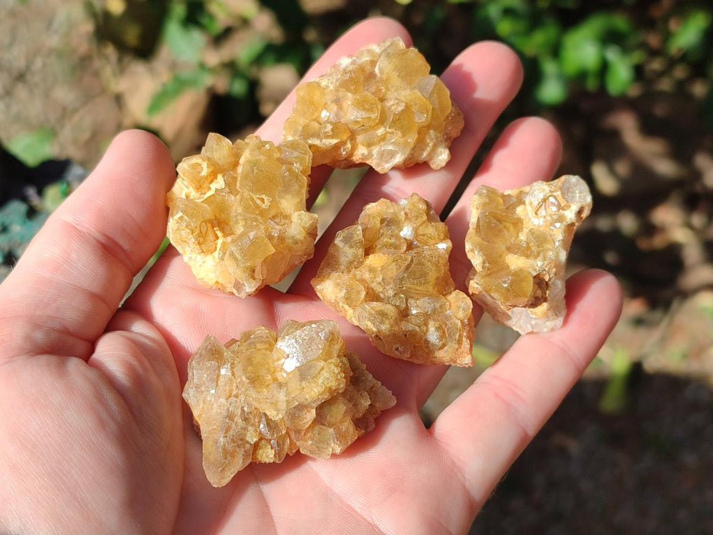 Natural Mini Golden Limonite Quartz Crystal Cluster Plate x 70 From Solwezi, Zambia - Toprock Gemstones and Minerals 