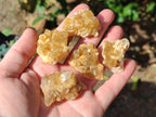 Natural Mini Golden Limonite Quartz Crystal Cluster Plate x 70 From Solwezi, Zambia - Toprock Gemstones and Minerals 