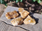 Natural Mini Golden Limonite Quartz Crystal Cluster Plate x 70 From Solwezi, Zambia - Toprock Gemstones and Minerals 