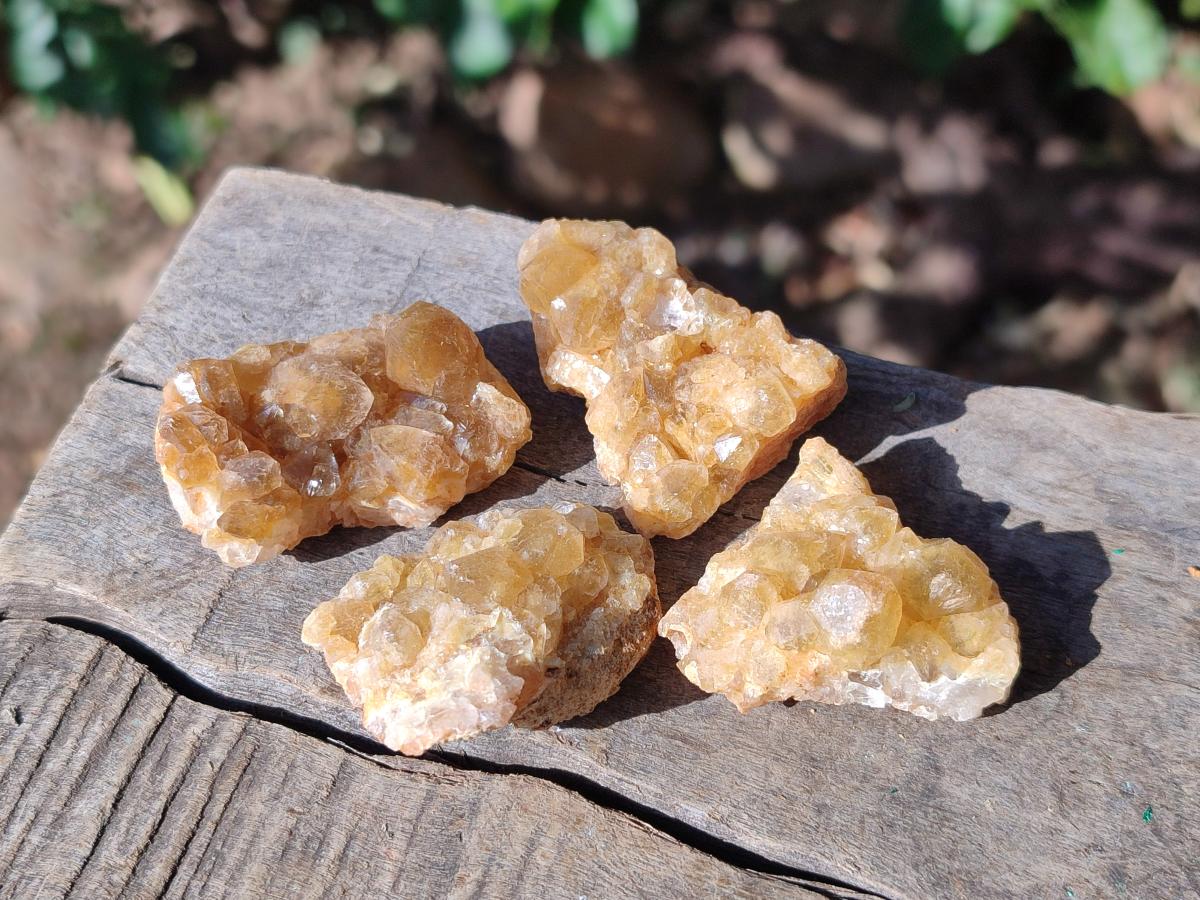 Natural Mini Golden Limonite Quartz Crystal Cluster Plate x 70 From Solwezi, Zambia - Toprock Gemstones and Minerals 