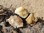 Natural Mini Golden Limonite Quartz Crystal Cluster Plate x 70 From Solwezi, Zambia - Toprock Gemstones and Minerals 