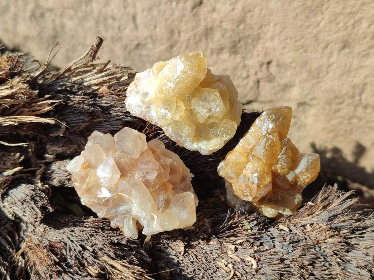Natural Mini Golden Limonite Quartz Crystal Cluster Plate x 70 From Solwezi, Zambia - Toprock Gemstones and Minerals 