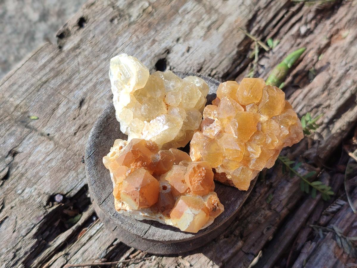 Natural Mini Golden Limonite Quartz Crystal Cluster Plate x 70 From Solwezi, Zambia - Toprock Gemstones and Minerals 