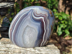 Polished Banded Agate Standing Display Pieces x 2 From Madagascar - Toprock Gemstones and Minerals 