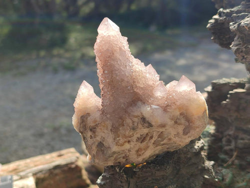Natural Spirit Quartz Clusters x 4 From Boekenhouthoek, South Africa - Toprock Gemstones and Minerals 