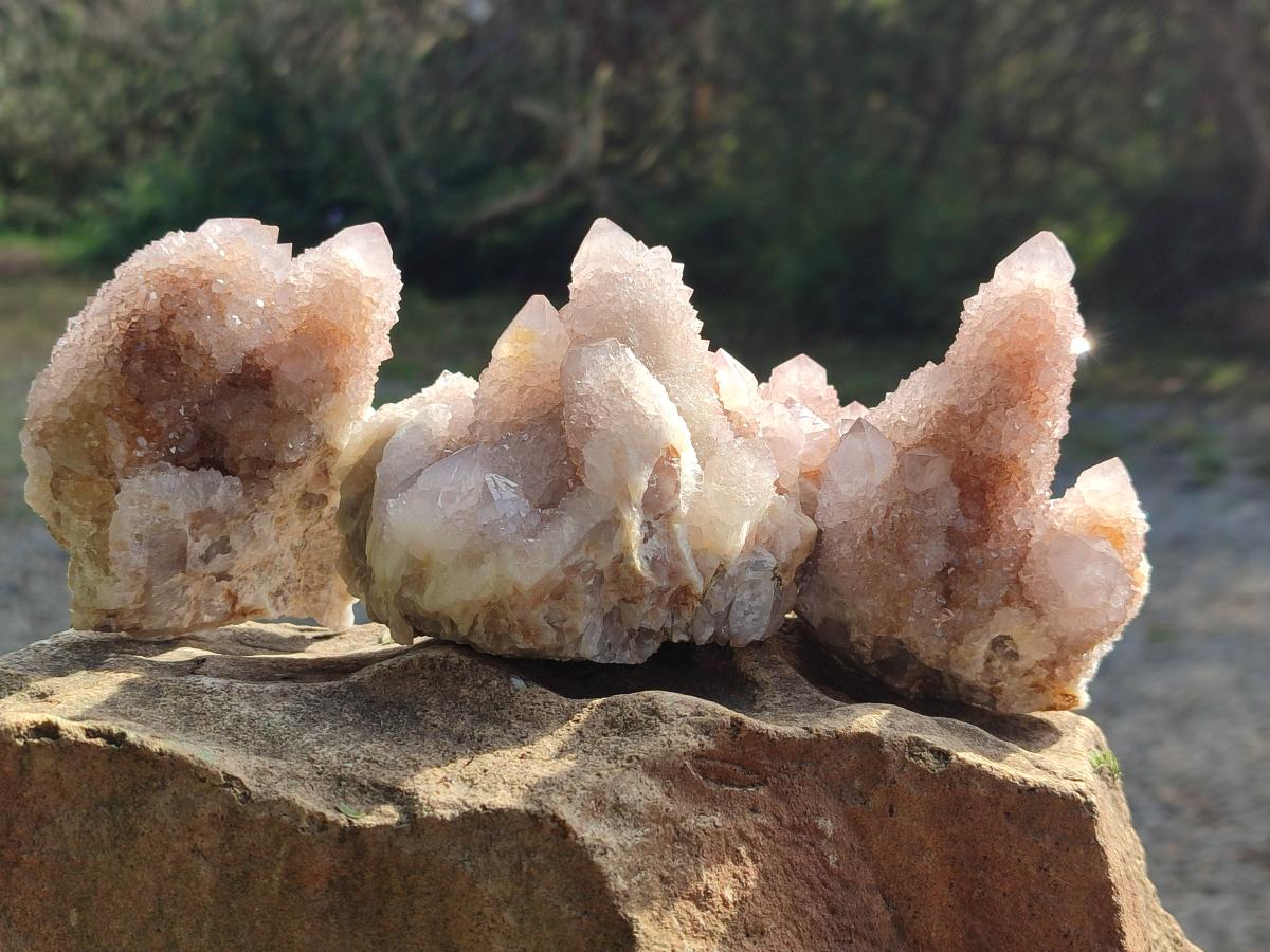 Natural Spirit Quartz Clusters x 4 From Boekenhouthoek, South Africa - Toprock Gemstones and Minerals 