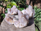 Natural Spirit Quartz Clusters x 4 From Boekenhouthoek, South Africa - Toprock Gemstones and Minerals 