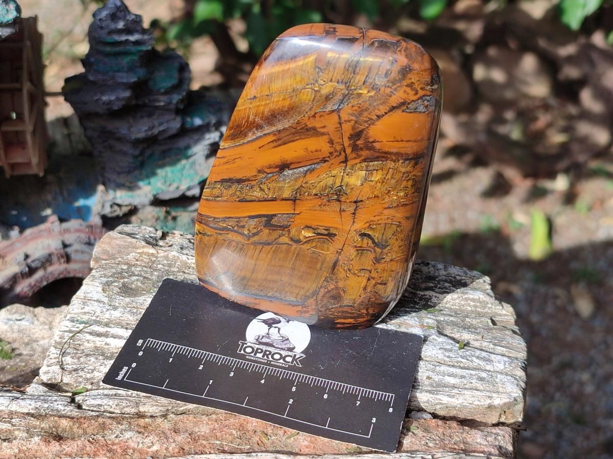 Polished Blue Golden Tigers Eye Standing Display Pieces x 3 From Prieska, South Africa - Toprock Gemstones and Minerals 