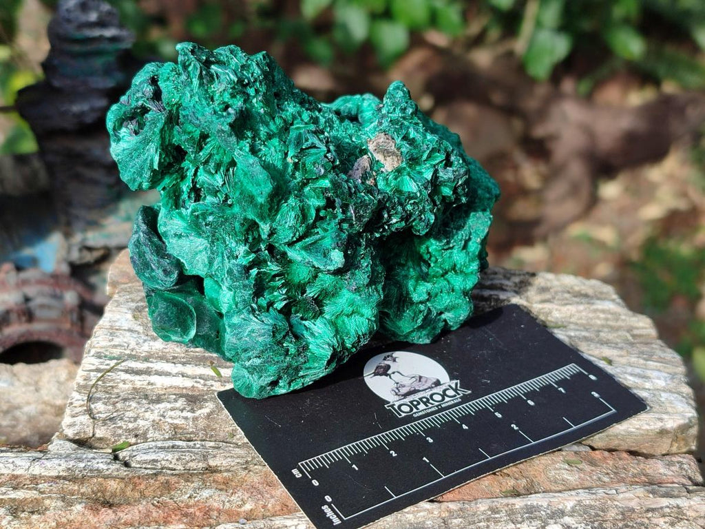 Natural Silky Malachite Specimens x 2 From Kasompe, Congo - Toprock Gemstones and Minerals 