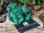 Natural Silky Malachite Specimens x 2 From Kasompe, Congo - Toprock Gemstones and Minerals 