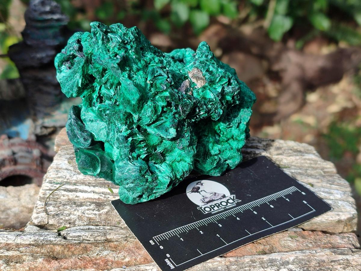 Natural Silky Malachite Specimens x 2 From Kasompe, Congo - Toprock Gemstones and Minerals 