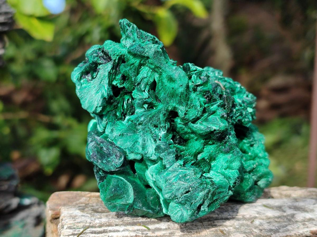 Natural Silky Malachite Specimens x 2 From Kasompe, Congo - Toprock Gemstones and Minerals 