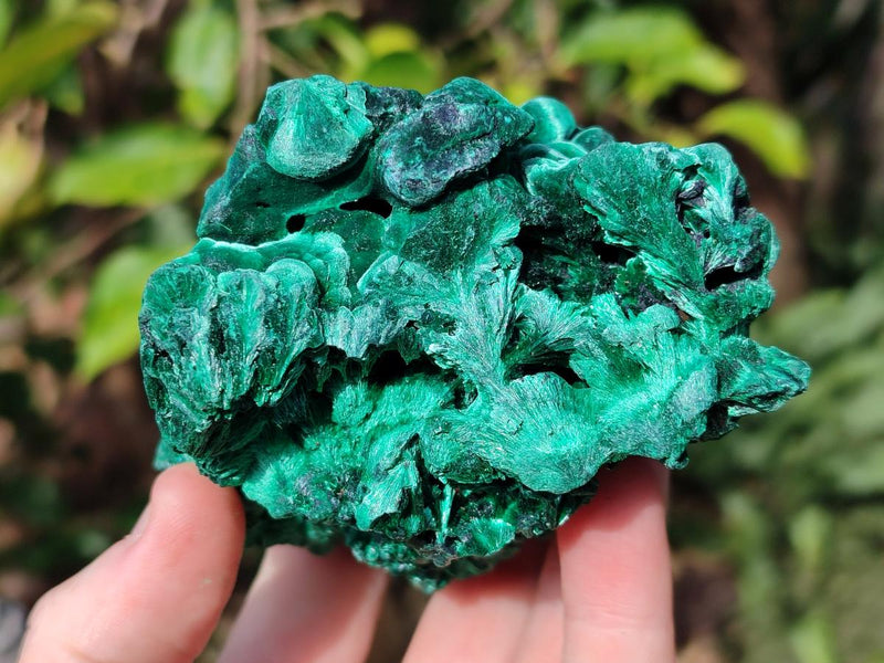 Natural Silky Malachite Specimens x 2 From Kasompe, Congo - Toprock Gemstones and Minerals 