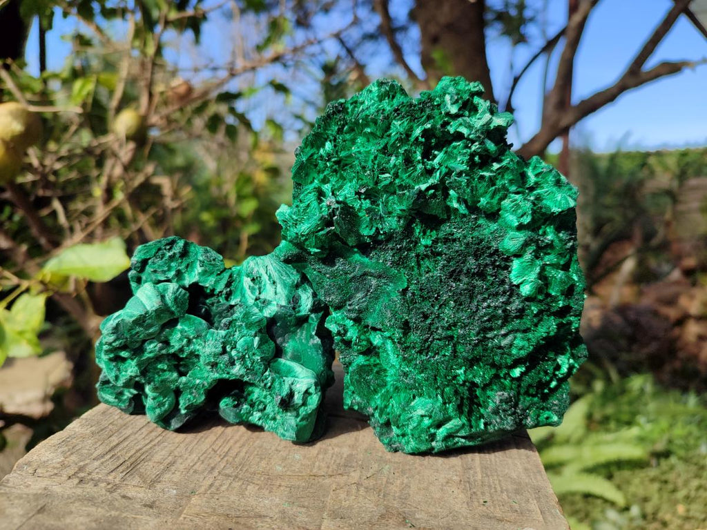 Natural Silky Malachite Specimens x 2 From Kasompe, Congo - Toprock Gemstones and Minerals 