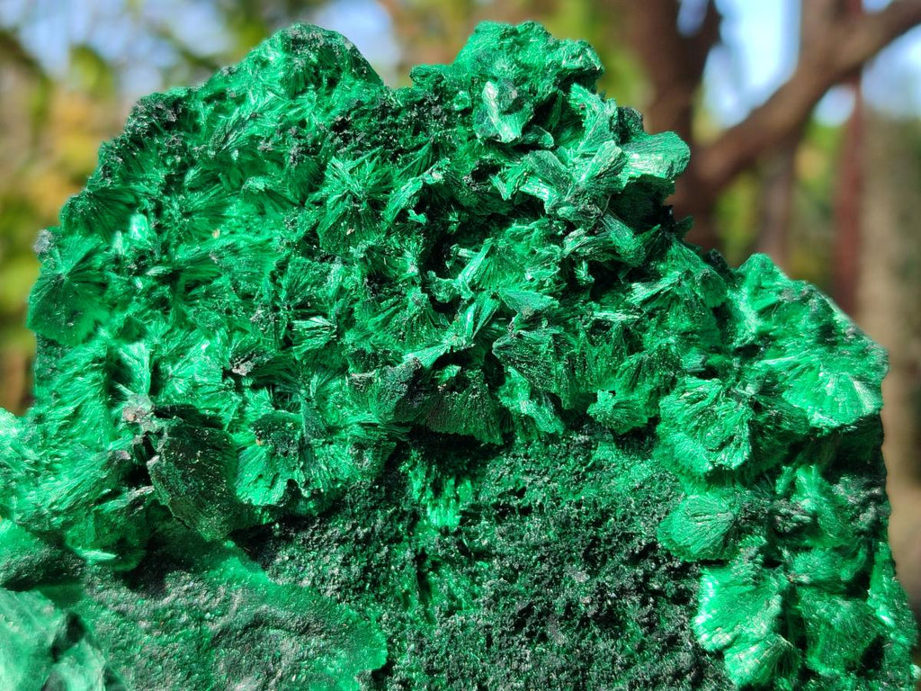 Natural Silky Malachite Specimens x 2 From Kasompe, Congo - Toprock Gemstones and Minerals 