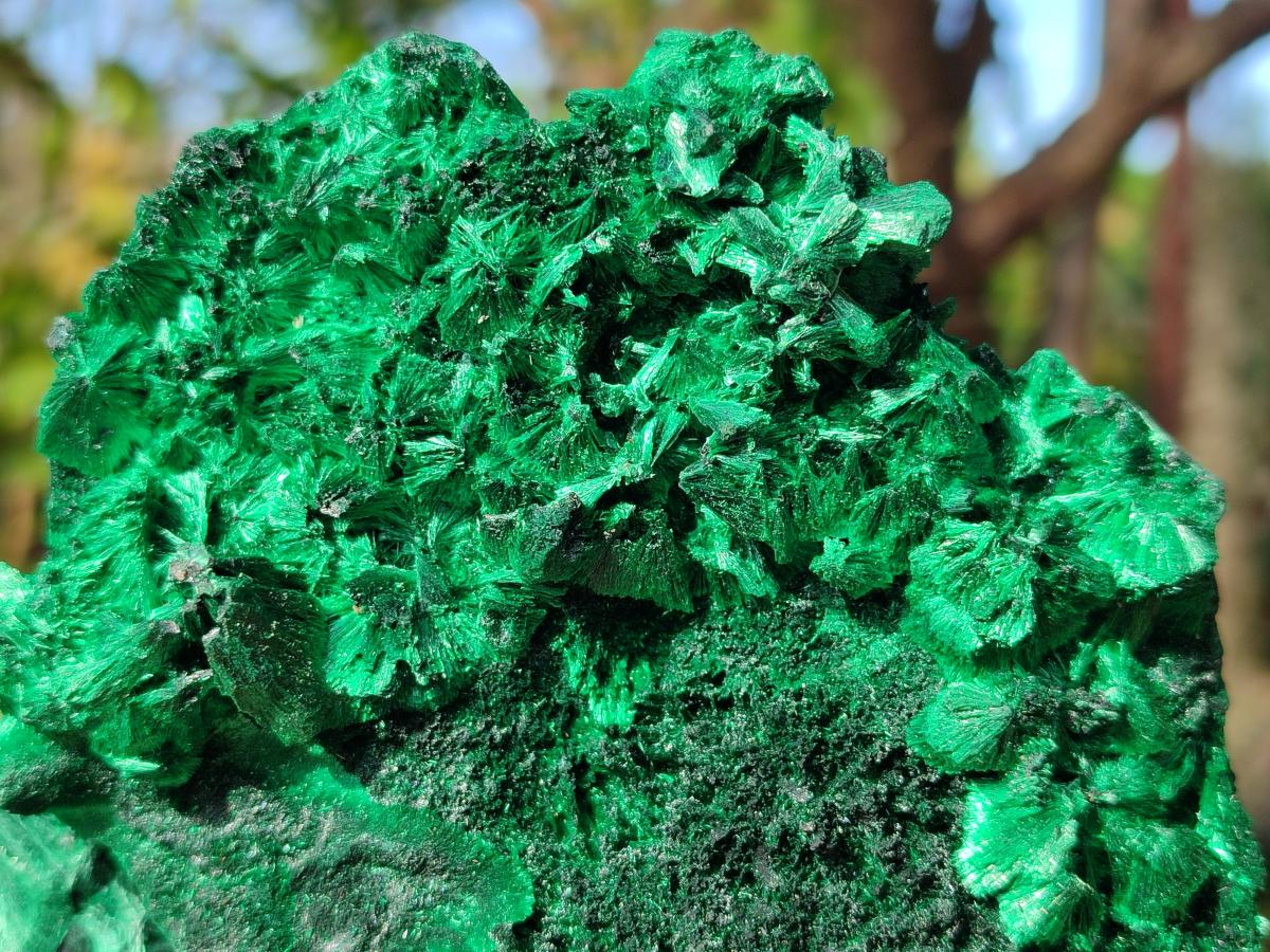 Natural Silky Malachite Specimens x 2 From Kasompe, Congo - Toprock Gemstones and Minerals 