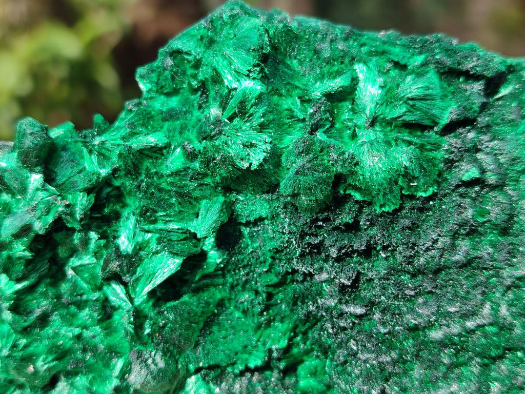 Natural Silky Malachite Specimens x 2 From Kasompe, Congo - Toprock Gemstones and Minerals 