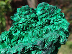 Natural Silky Malachite Specimens x 2 From Kasompe, Congo - Toprock Gemstones and Minerals 