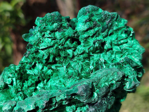 Natural Silky Malachite Specimens x 2 From Kasompe, Congo - Toprock Gemstones and Minerals 