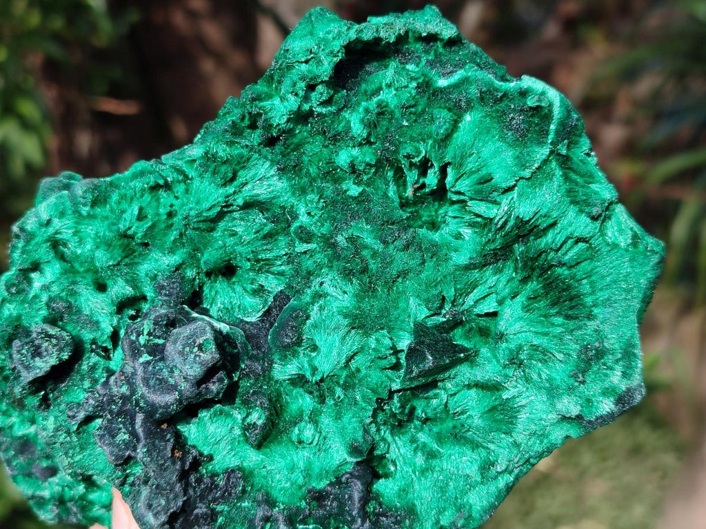 Natural Silky Malachite Specimens x 2 From Kasompe, Congo - Toprock Gemstones and Minerals 