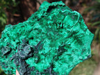 Natural Silky Malachite Specimens x 2 From Kasompe, Congo - Toprock Gemstones and Minerals 