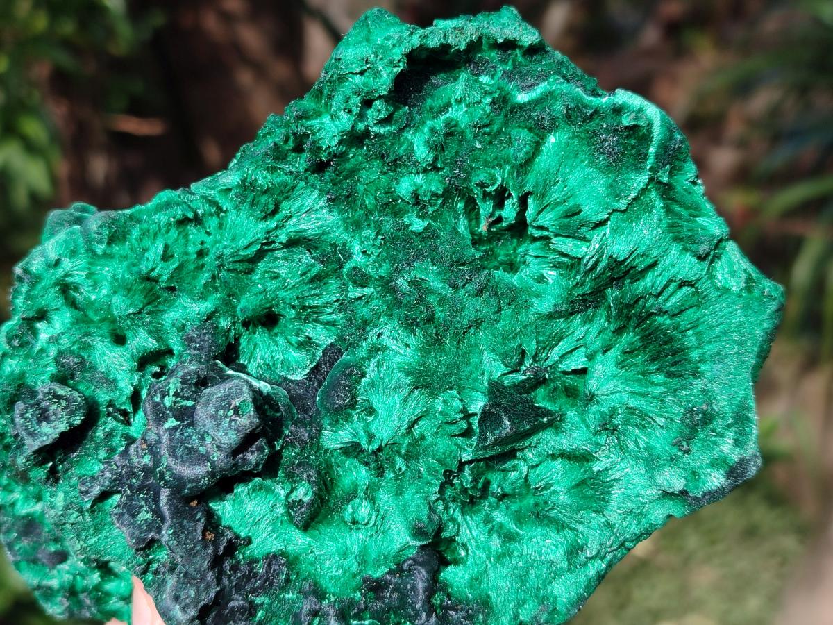 Natural Silky Malachite Specimens x 2 From Kasompe, Congo - Toprock Gemstones and Minerals 