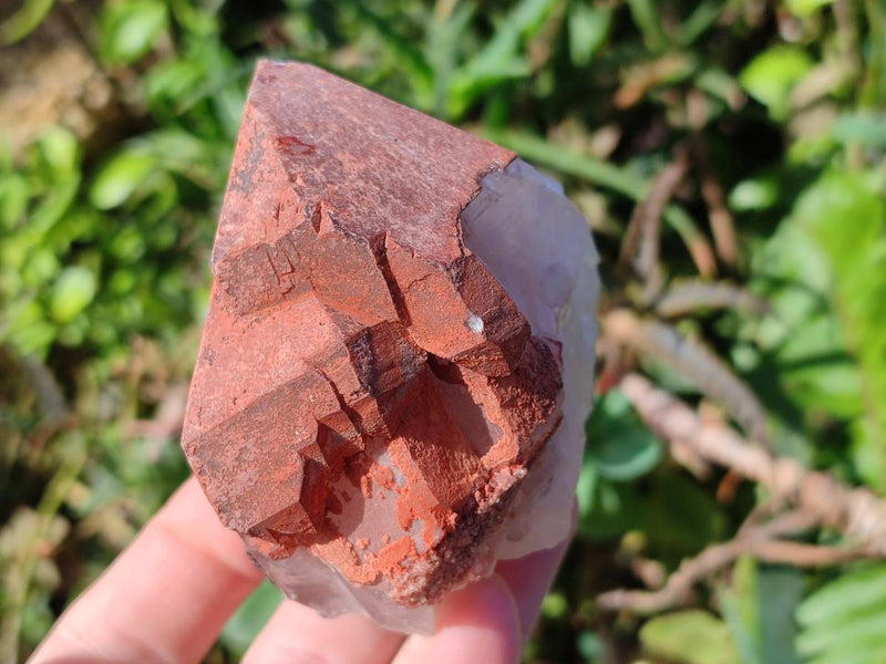 Natural Blacknite with Goethite Crystals x 12 From Madagascar - Toprock Gemstones and Minerals 