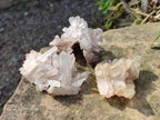 Natural Small Malagasy Quartz Crystal Clusters x 24 From Madagascar - Toprock Gemstones and Minerals 