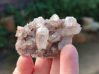 Natural Small Malagasy Quartz Crystal Clusters x 24 From Madagascar - Toprock Gemstones and Minerals 