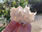 Natural Small Malagasy Quartz Crystal Clusters x 24 From Madagascar - Toprock Gemstones and Minerals 
