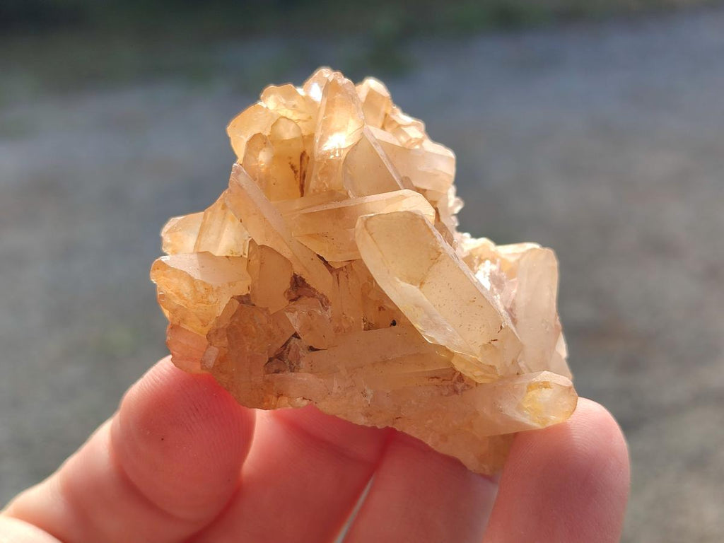 Natural Small Malagasy Quartz Crystal Clusters x 24 From Madagascar - Toprock Gemstones and Minerals 