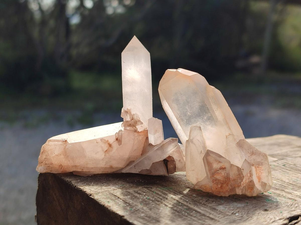 Natural Small Malagasy Quartz Crystal Clusters x 24 From Madagascar - Toprock Gemstones and Minerals 