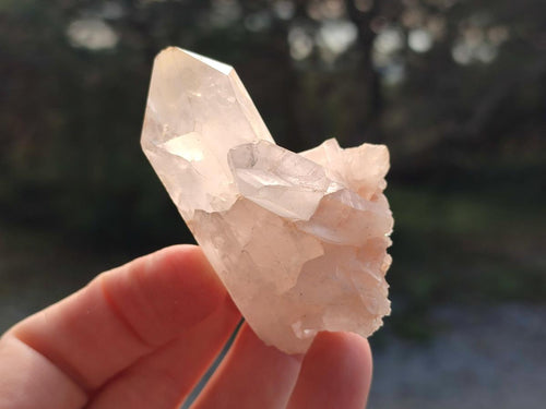 Natural Small Malagasy Quartz Crystal Clusters x 24 From Madagascar - Toprock Gemstones and Minerals 