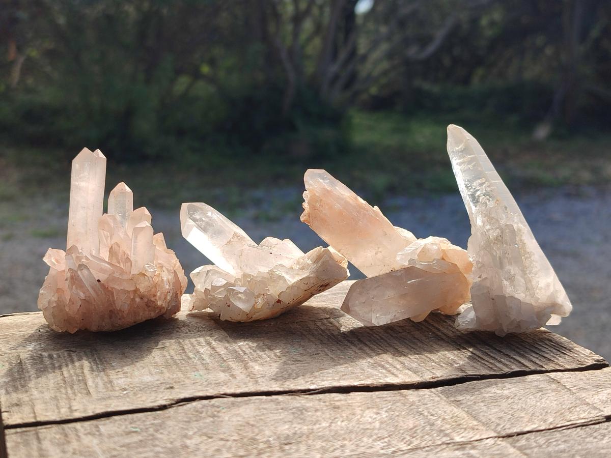 Natural Small Malagasy Quartz Crystal Clusters x 24 From Madagascar - Toprock Gemstones and Minerals 