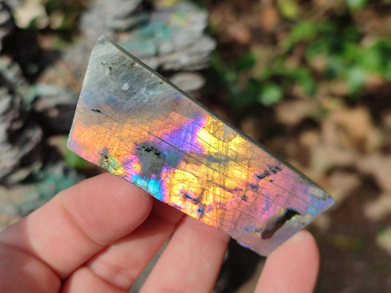 Polished Rare Purple Sunset Flash Labradorite Slices x 24 From Madagascar - Toprock Gemstones and Minerals 