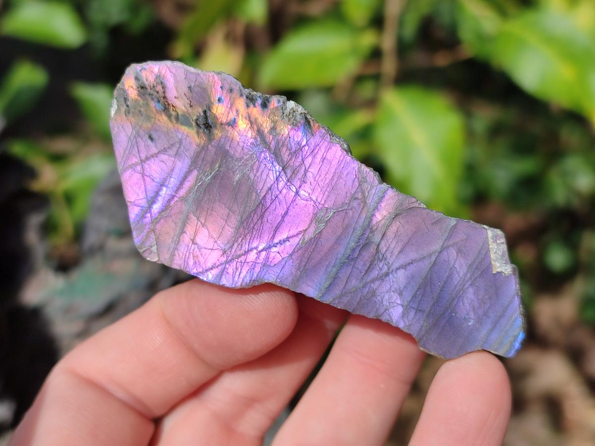 Polished Rare Purple Sunset Flash Labradorite Slices x 24 From Madagascar - Toprock Gemstones and Minerals 