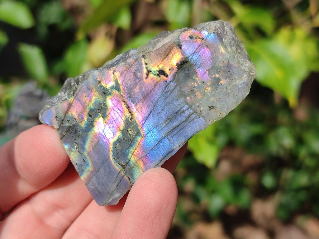 Polished Rare Purple Sunset Flash Labradorite Slices x 24 From Madagascar - Toprock Gemstones and Minerals 