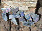 Polished Rare Purple Sunset Flash Labradorite Slices x 24 From Madagascar - Toprock Gemstones and Minerals 