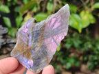 Polished Rare Purple Sunset Flash Labradorite Slices x 24 From Madagascar - Toprock Gemstones and Minerals 