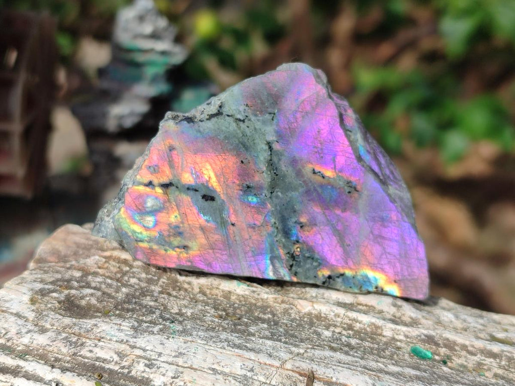 Polished Rare Purple Sunset Flash Labradorite Slices x 24 From Madagascar - Toprock Gemstones and Minerals 