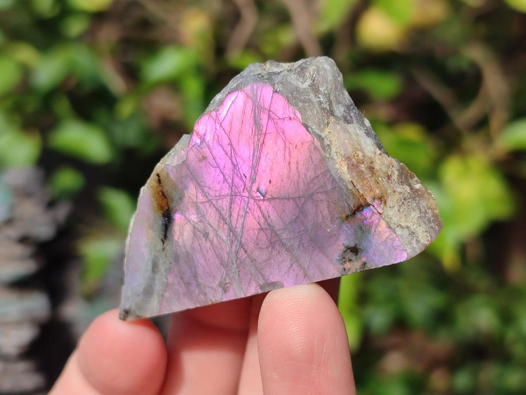 Polished Rare Purple Sunset Flash Labradorite Slices x 24 From Madagascar - Toprock Gemstones and Minerals 