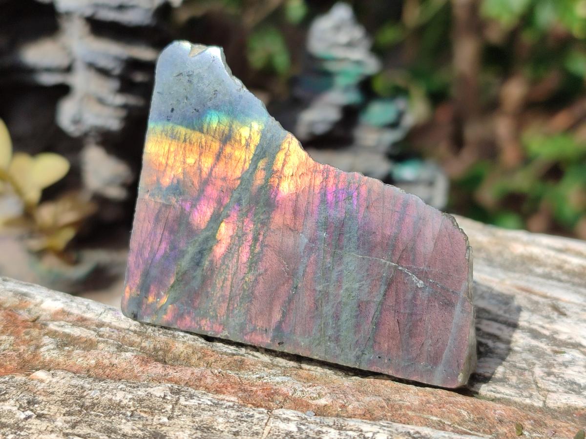 Polished Rare Purple Sunset Flash Labradorite Slices x 24 From Madagascar - Toprock Gemstones and Minerals 