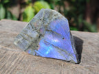 Polished Rare Purple Sunset Flash Labradorite Slices x 24 From Madagascar - Toprock Gemstones and Minerals 