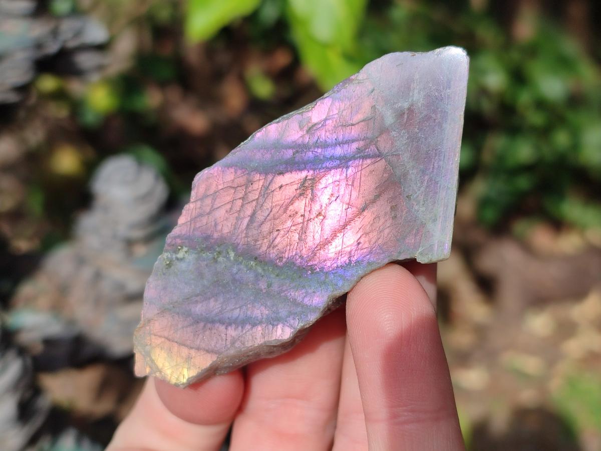 Polished Rare Purple Sunset Flash Labradorite Slices x 24 From Madagascar - Toprock Gemstones and Minerals 