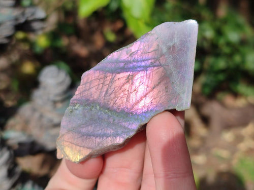 Polished Rare Purple Sunset Flash Labradorite Slices x 24 From Madagascar - Toprock Gemstones and Minerals 
